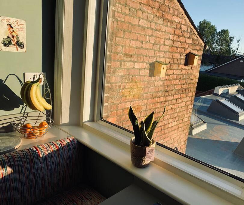 Luxury 2 Bed 4 Mins From M6 J44 Pet Friendly, Apartment